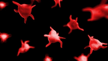 Các triệu chứng giảm tiểu cầu