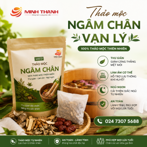 Tuyển đại lý cung cấp thảo mộc ngâm chân Vạn Lý